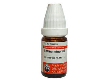 Picture of Lemna Minor 30 10ml Pot
