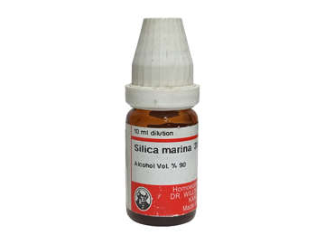 Picture of Silica Marina Drop 10ml Pot