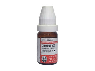 Picture of Clematis 200 10ml