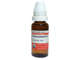 Picture of Panax Ginseng Q=1x 20ml Mt