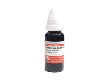 Picture of Ws Berberis Aquiffolium Q=1x 20ml